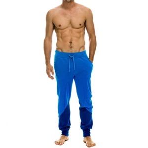NWT Aviator Nation Glider Colorblock Sweatpants